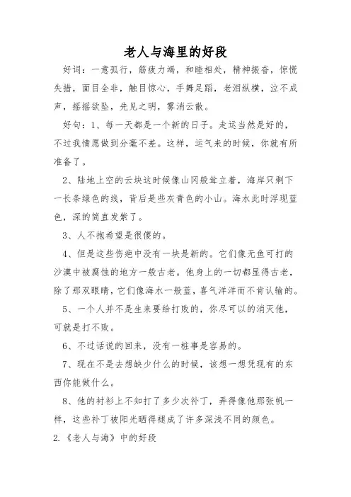 老人与海里的好段