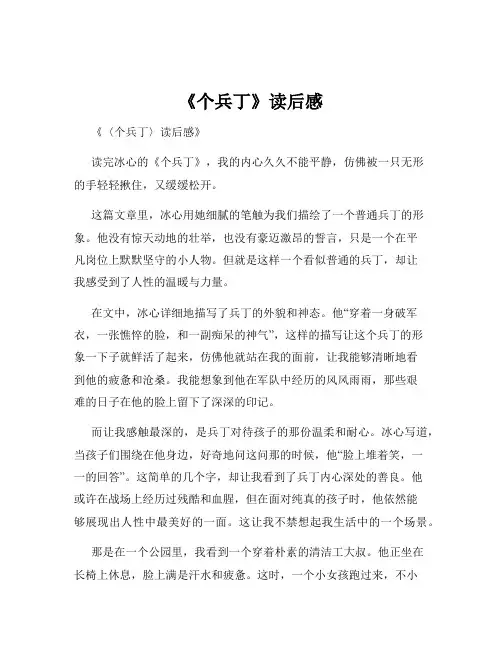 《个兵丁》读后感