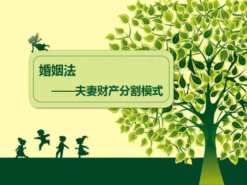 婚姻法夫妻财产分割模式 ppt课件