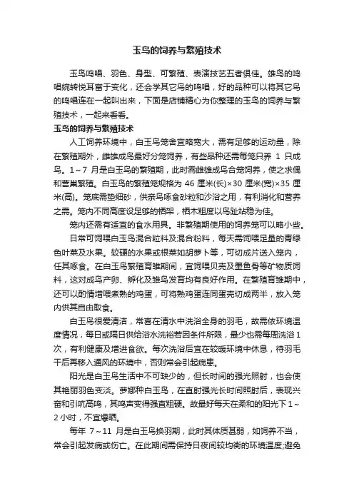 玉鸟的饲养与繁殖技术