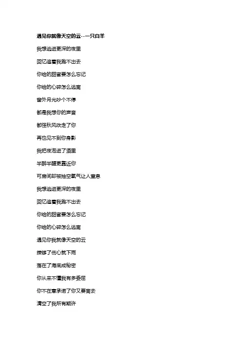 歌曲《遇见你就像天空的云》歌词