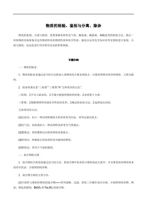 初中化学中考复习 第2讲 物质的检验、鉴别、分离与提纯(讲解突破)(解析版)