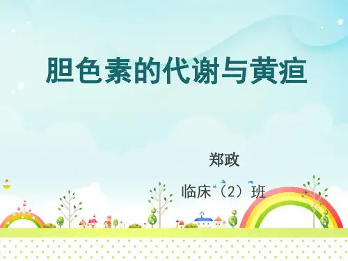 胆色素的代谢与黄疸