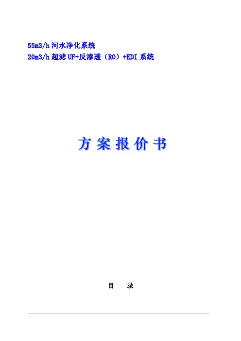 20tRO+edi纯水处理(超滤预处理)设计方案