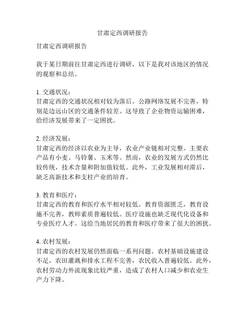 甘肃定西调研报告