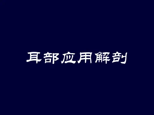 耳部应用解剖学