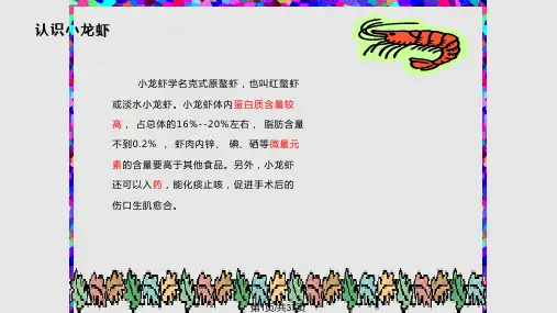稻田养虾PPT课件