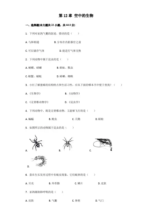 苏科版七年级下册第五单元第12章空中的生物章节检测(解析版)