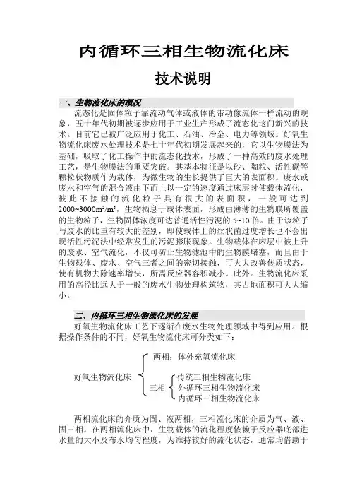内循环流化床(BFT)技术说明