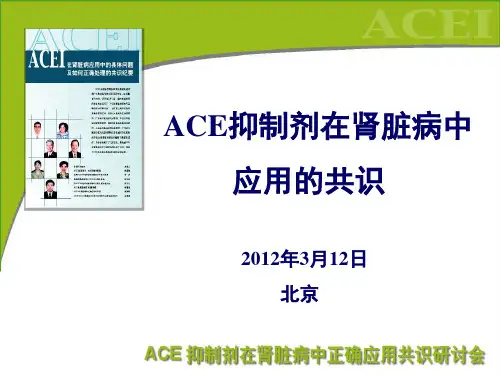 ACEI正确应用共识1