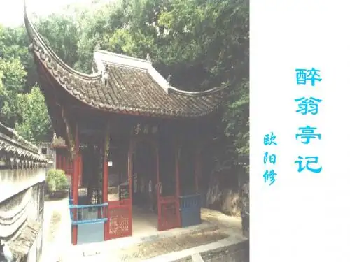 28《醉翁亭记》复习资料