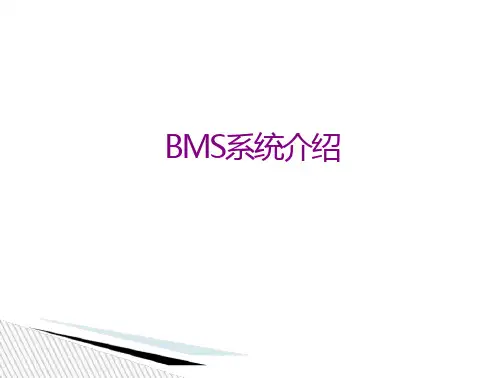 BMS系统介绍课件