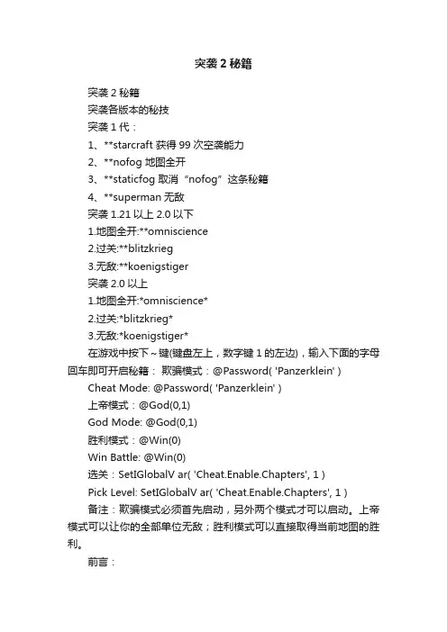 突袭2秘籍