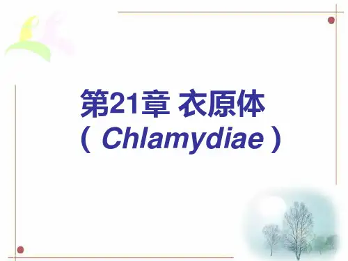衣原体(Chlamydiae)