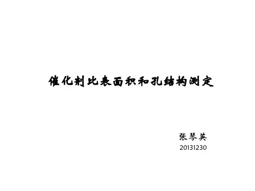 氮气吸脱附比表面