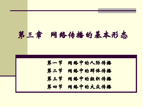 第三章   网络传播的基本形态