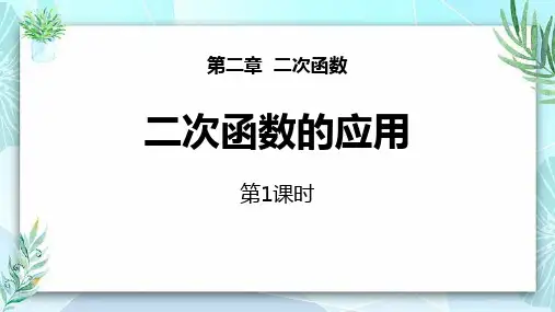 北师大版九年级数学下册 (二次函数的应用)二次函数教学课件(第1课时)