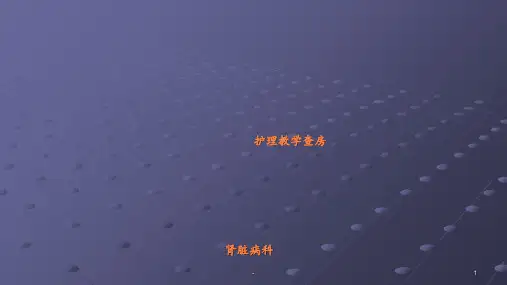 痛风性肾病护理查房ppt课件