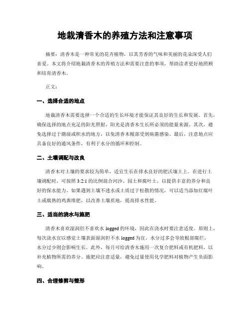地栽清香木的养殖方法和注意事项