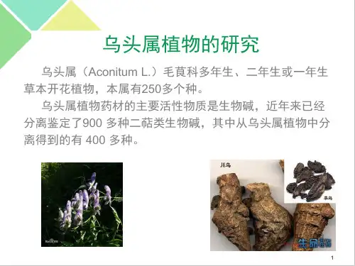 乌头碱PPT课件