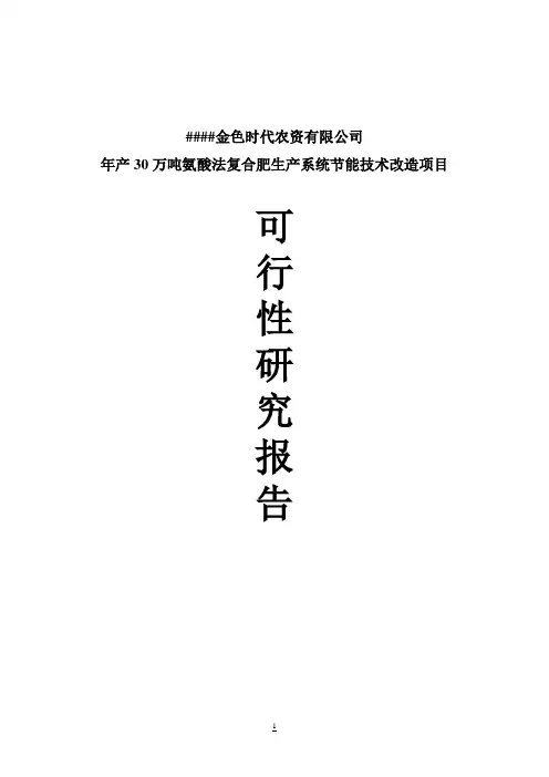 年产30万吨氨酸法复合肥生产系统节能技术改造项目可行性研究报告