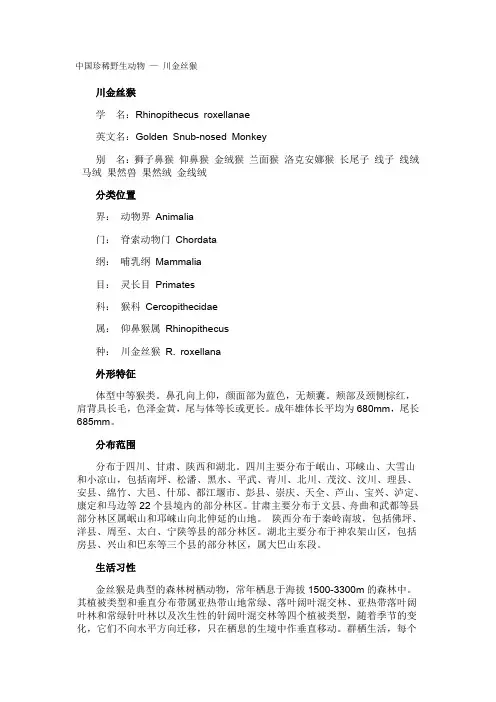 中国珍稀野生动物— 川金丝猴