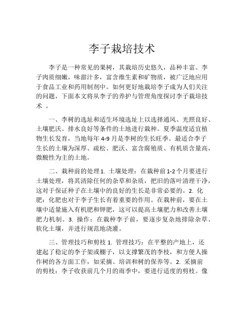 李子栽培技术