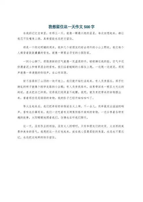 我想留住这一天作文500字