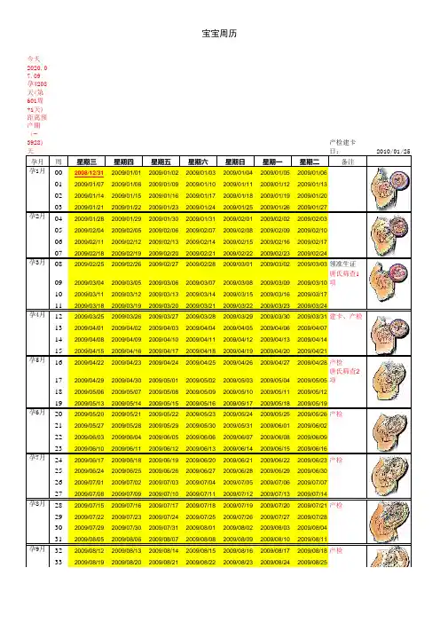 胎儿周历表万用表