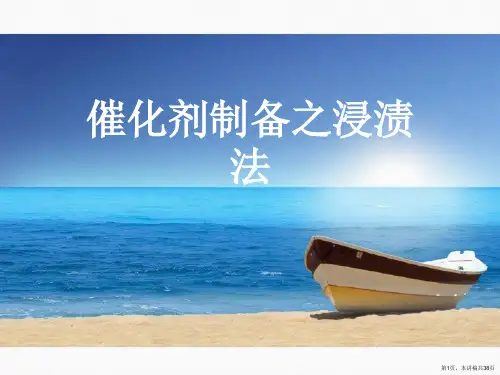 催化剂制备之浸渍法