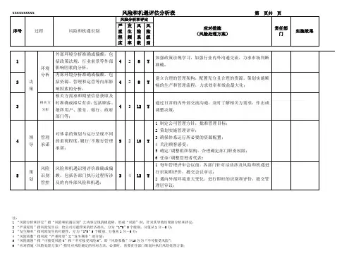 风险和机遇评估分析表