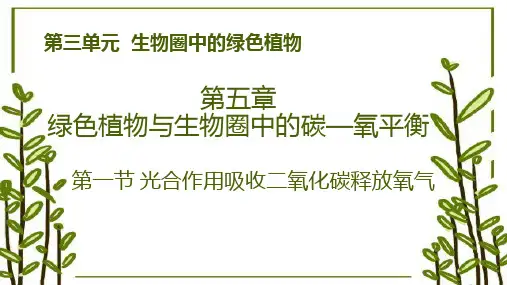 3.5.1 光合作用吸收二氧化碳释放氧气-七年级生物上学期课件(人教版)