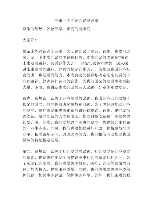 三重一大专题会议发言稿