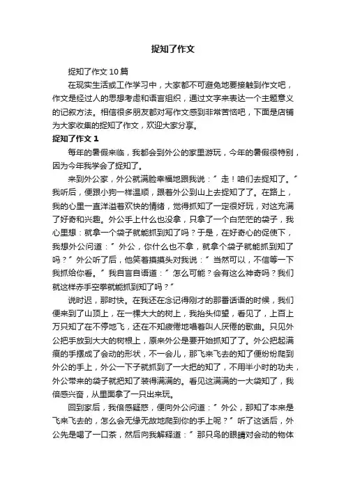 捉知了作文