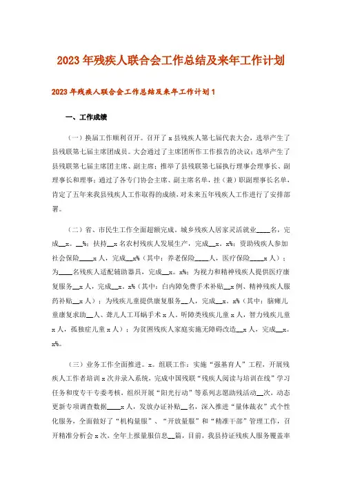 2023年残疾人联合会工作总结及来年工作计划