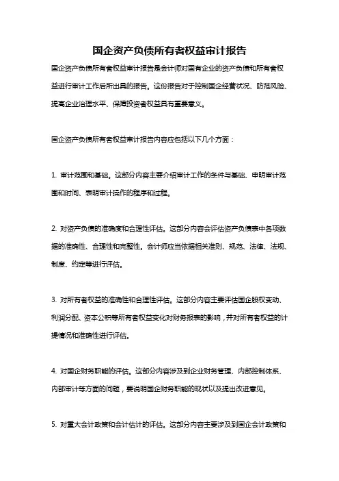 国企资产负债所有者权益审计报告