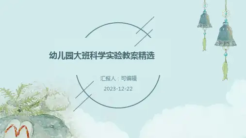 幼儿园大班科学实验教案精选ppt