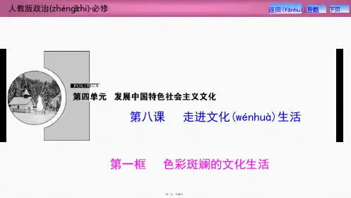 人教高中政治必修3书讲解部分第四单元 第八课 第一框 色彩斑斓的文化生活