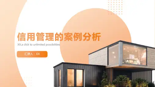 信用管理的案例分析