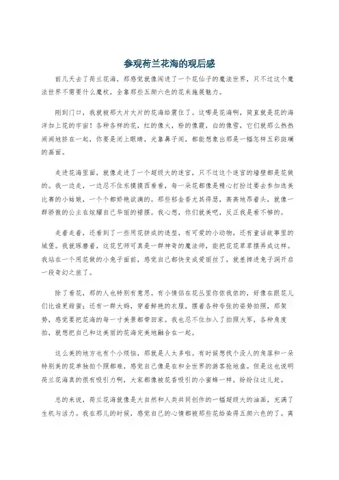 参观荷兰花海的观后感