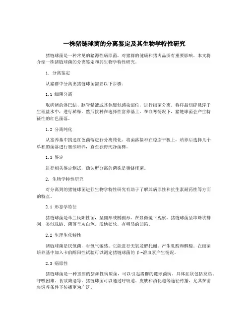 一株猪链球菌的分离鉴定及其生物学特性研究
