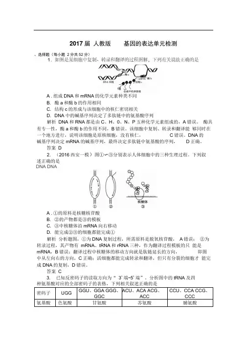 人教版基因的表达单元检测