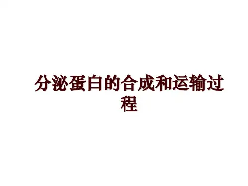 分泌蛋白的合成和运输过程