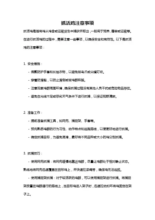 抓活鸡注意事项