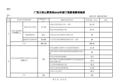  部门预算调整明细表 