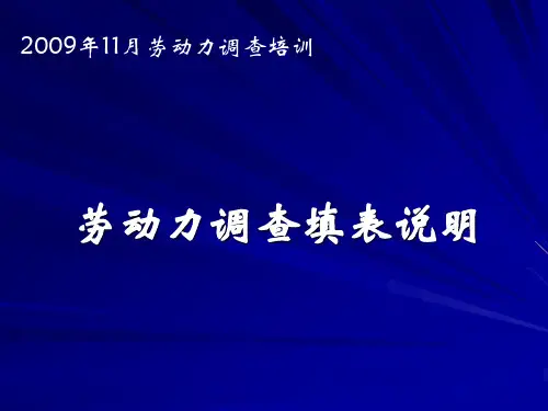 劳动力调查填表说明