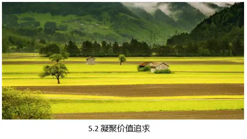 5.2 凝聚价值追求 课件(29张PPT)-2023-2024学年部编版道德与法治九年级上册