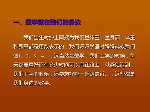 七年级数学走进数学世界(PPT)5-4