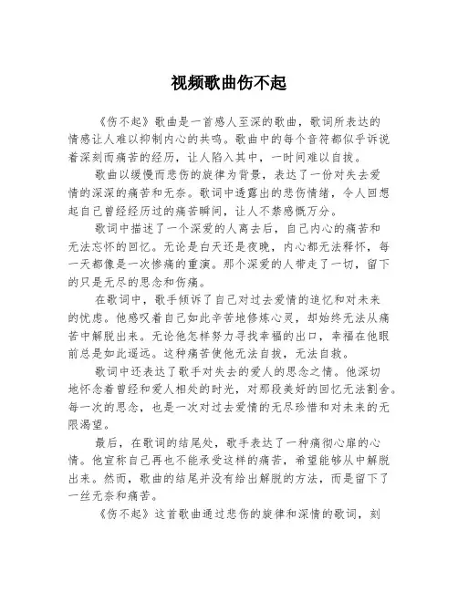 视频歌曲伤不起