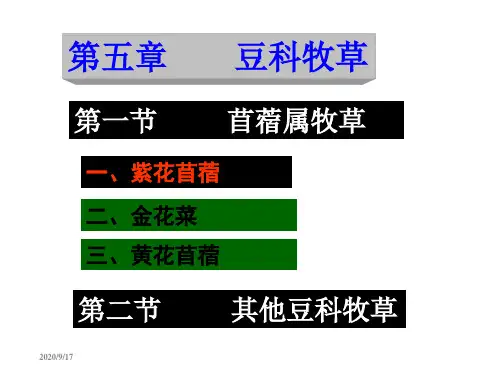 006第五章  豆科牧草(苜蓿-3)2 饲草生产学教学课件